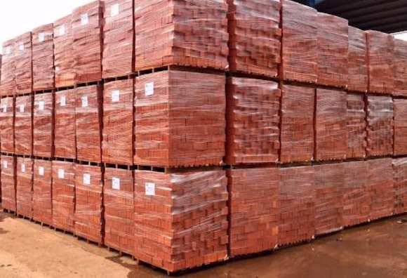 Clay Bricks ( Batu Merah )